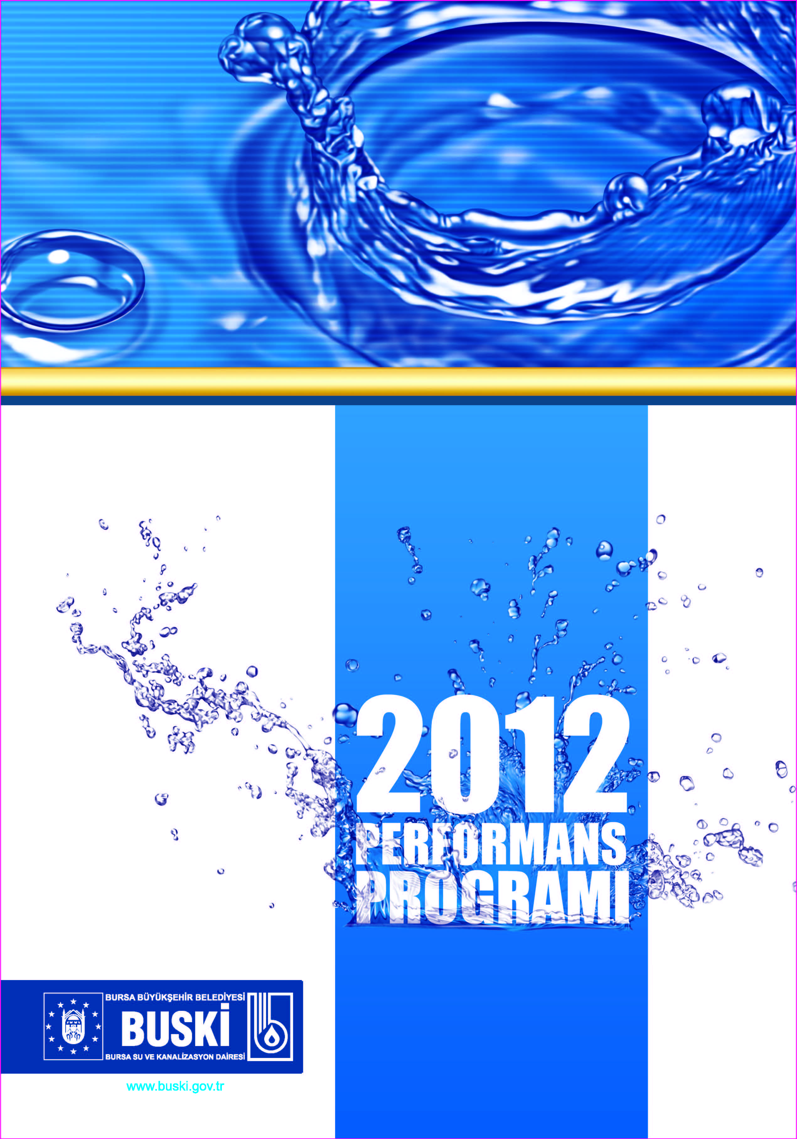 2012 Performans Programı
