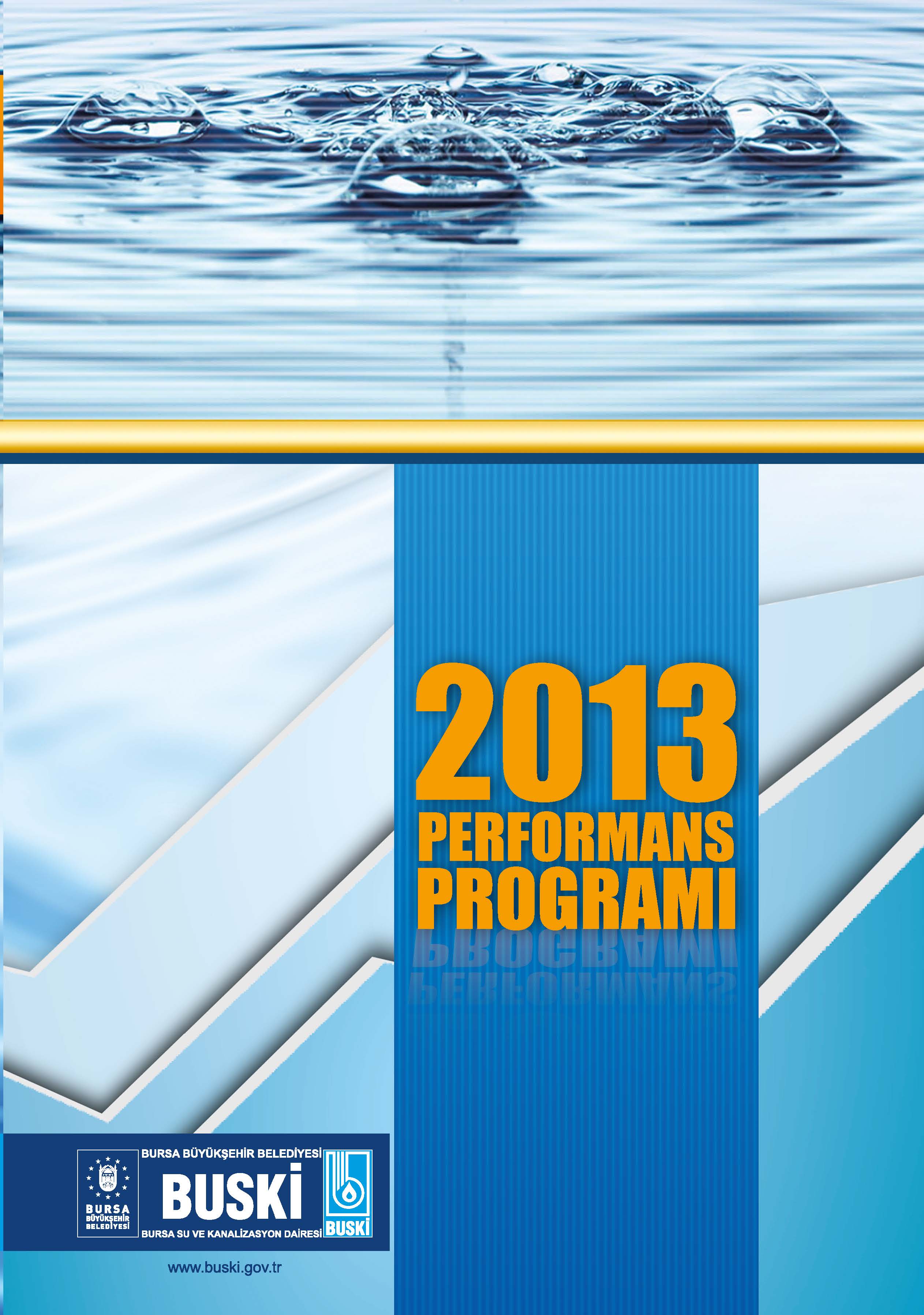 2013 Performans Programı