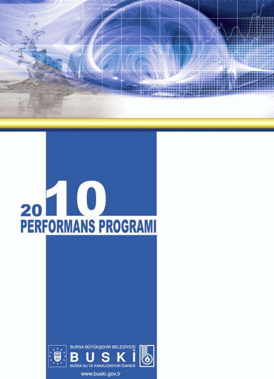 2010 Performans Programı