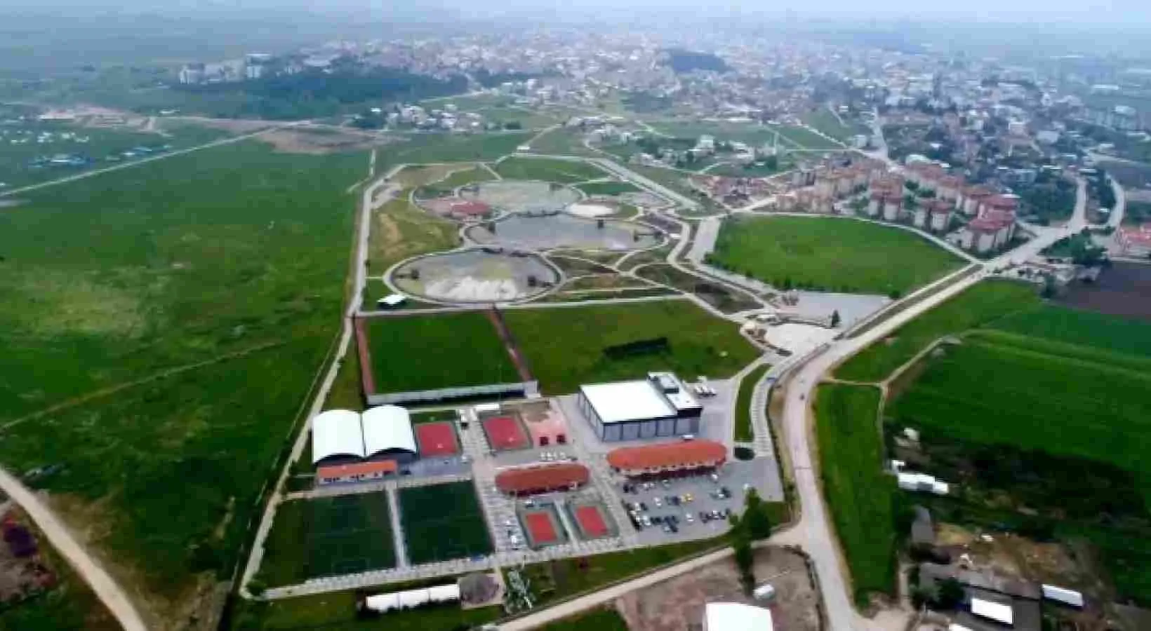 tesis